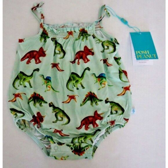 Posh Peanut PP-RP014 Baby Girl Sz 0-3 Months Green Buddy Dinosaur Bubble Romper - Picture 1 of 3